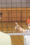 Nonton Haikyu!! Season 1 Episode 4 Sub Indo terbaru